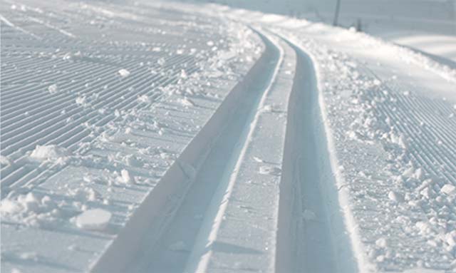 Réseau de pistes de ski de fond <br/>de plus de 8,7 km.